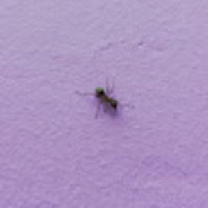 Meet your Posher, Someone